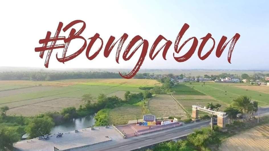 bongabon aerial view