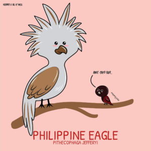 philippine eagle, red maya